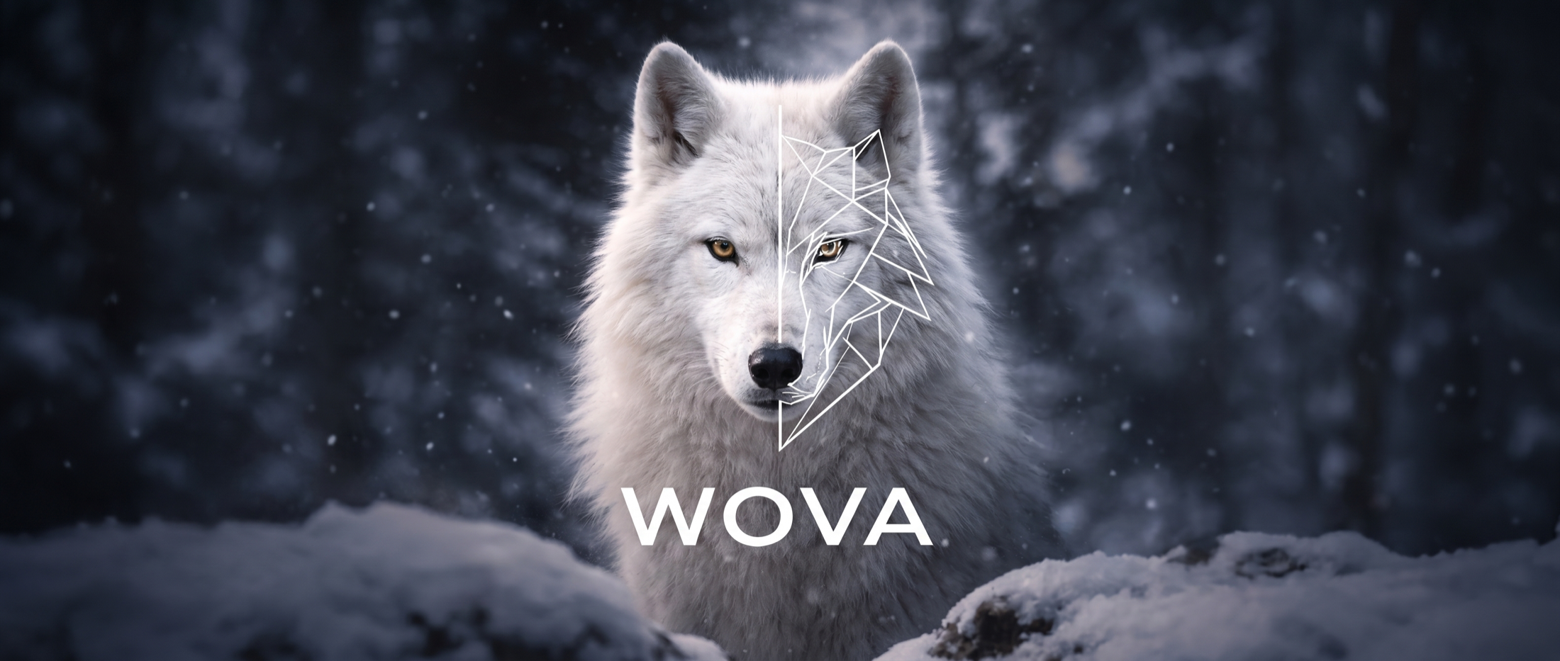 WOVA — loup arctique